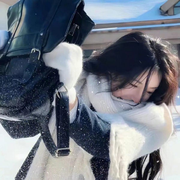 遗产奇案 海报