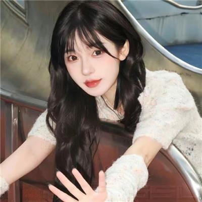 少奇同志 海报